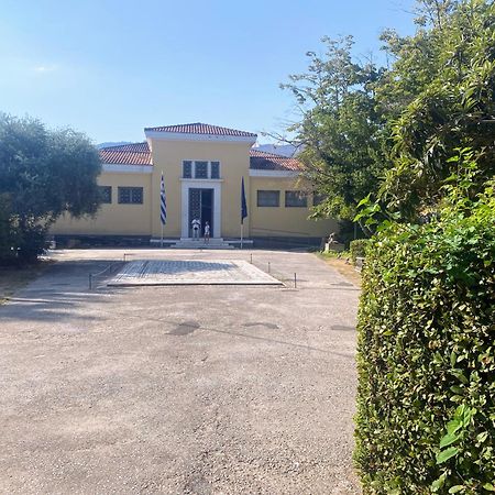 Captain'S Beach Apartments Thasos Extérieur photo